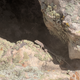 Illustration for article titled Motorcycle Road Trip: The Desert and Some Canyon Thing